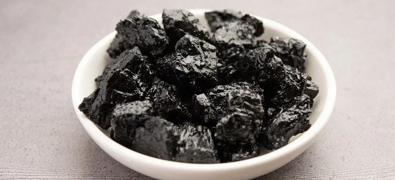Shilajit: The Magic Mountain Tar